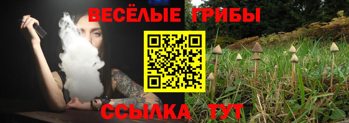 Псилоцибиновые грибы GOLDEN TEACHER Кимовск
