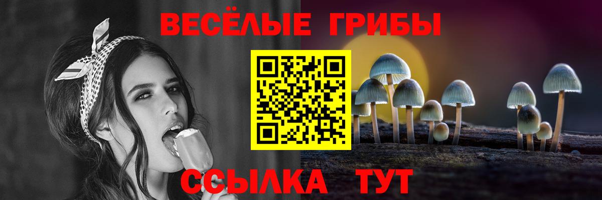 Псилоцибиновые грибы Psilocybine cubensis  Вход с VPN  Кимовск 